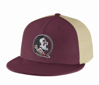 Florida State Seminoles NCAA Nike College Players True Swoosh Flex Hat