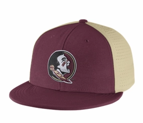 Florida State Seminoles NCAA Nike College Players True Swoosh Flex Hat