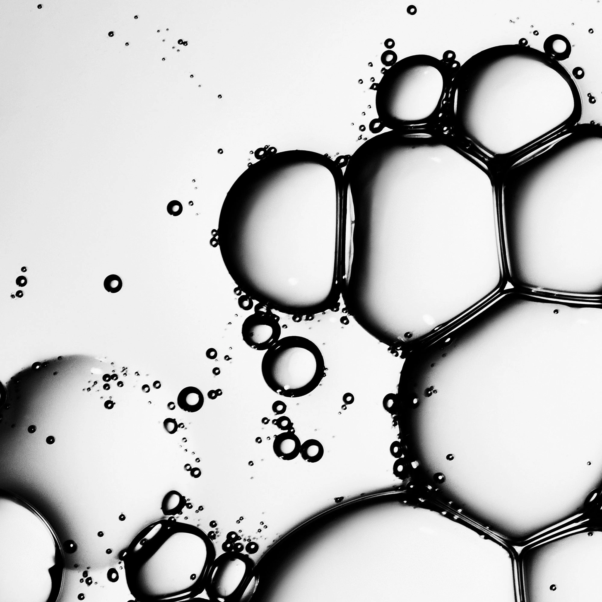 Grown Alchemist Energize Body Cleanser: Chamomile. Bergamot. Rose